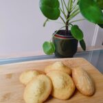 Carrot cake whoopie pies